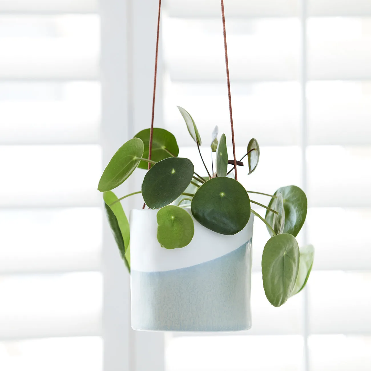 'Dip' Hanging Pot
