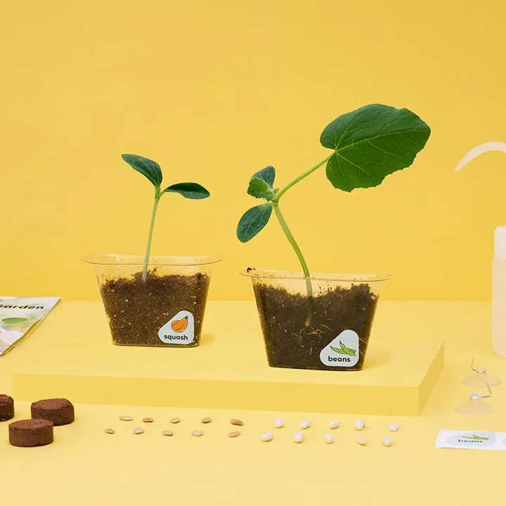 DIY Window Garden Kit for Kids by KiwiCo