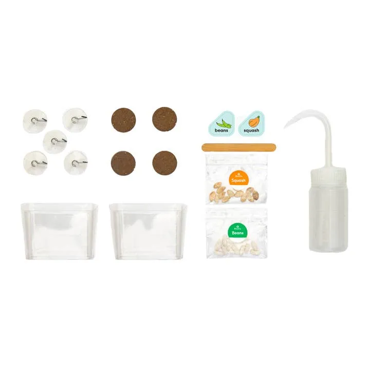 DIY Window Garden Kit for Kids by KiwiCo