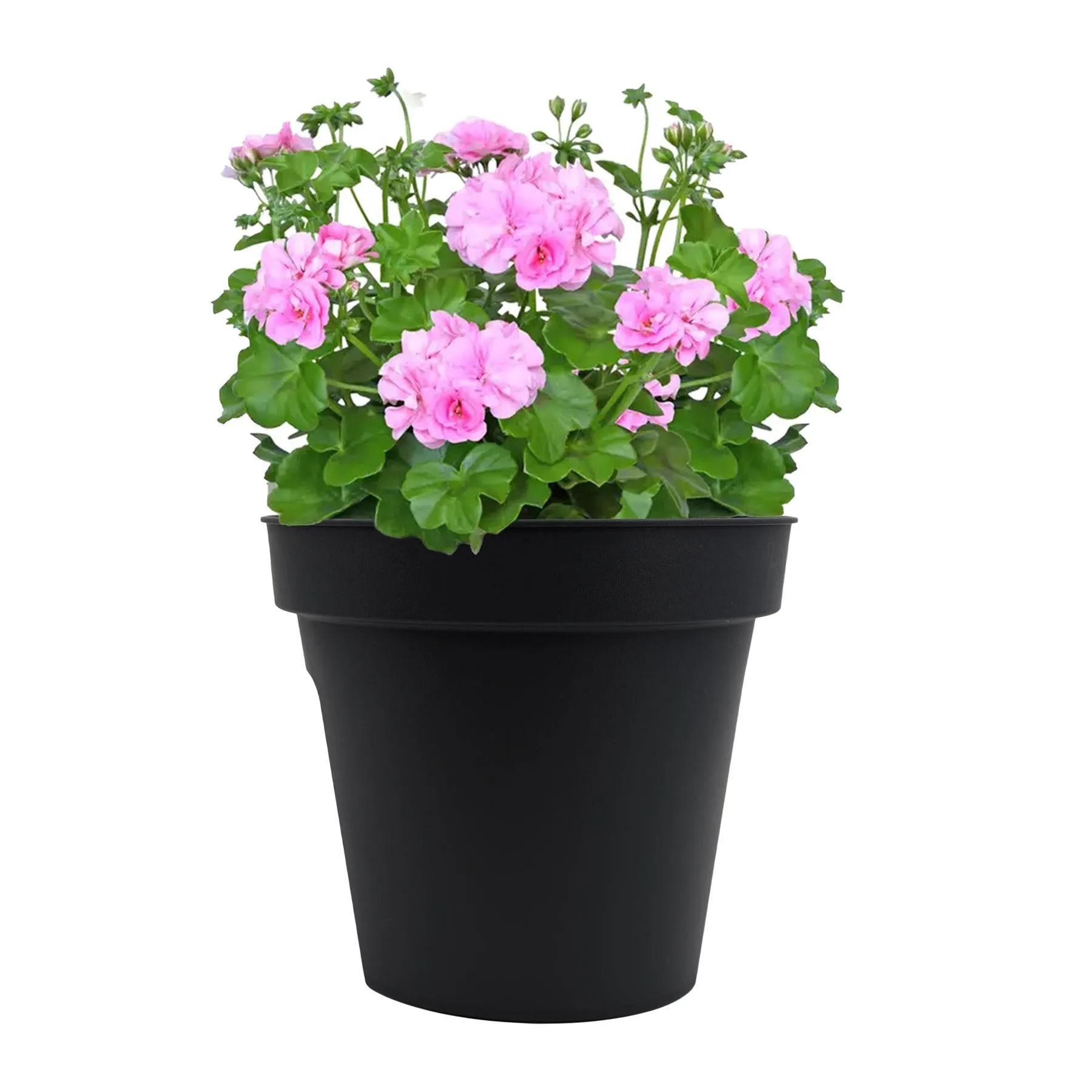 Flower Bridge Hanging Planter Round Pot