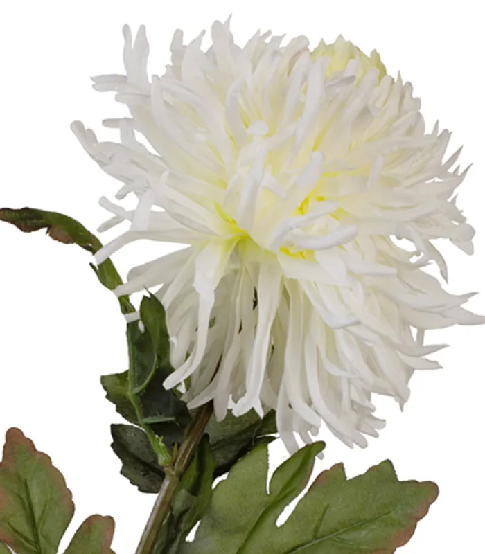 Garden Mum-White- Set of 2
