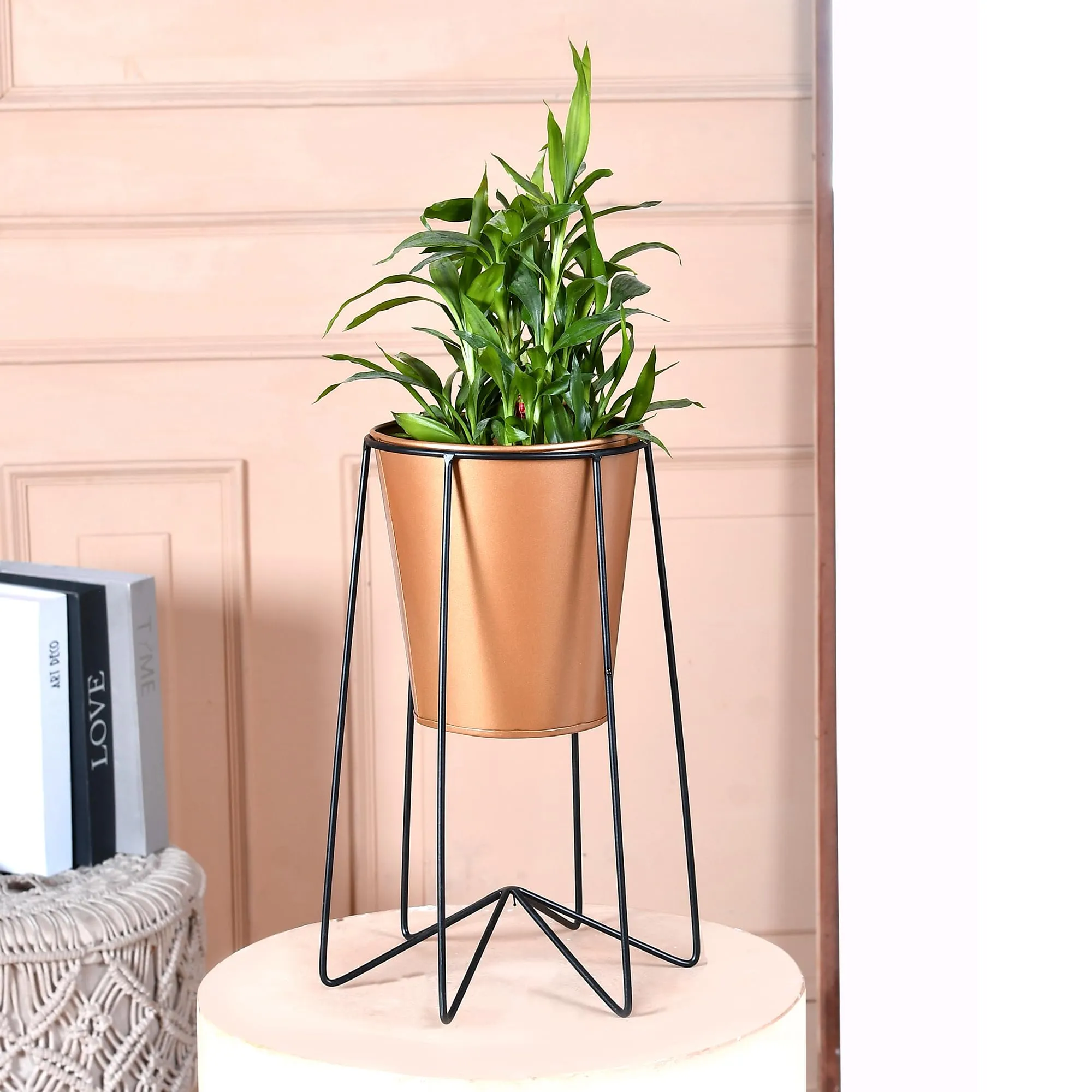 Homestic Planter | Planter Pot Stand for Outdoor | Plant Stand for Living Room | Gamla Stand for Home | Plant Stand for Home | Metal Pot Stand with Bucket Planter | Set of 2 | Gold