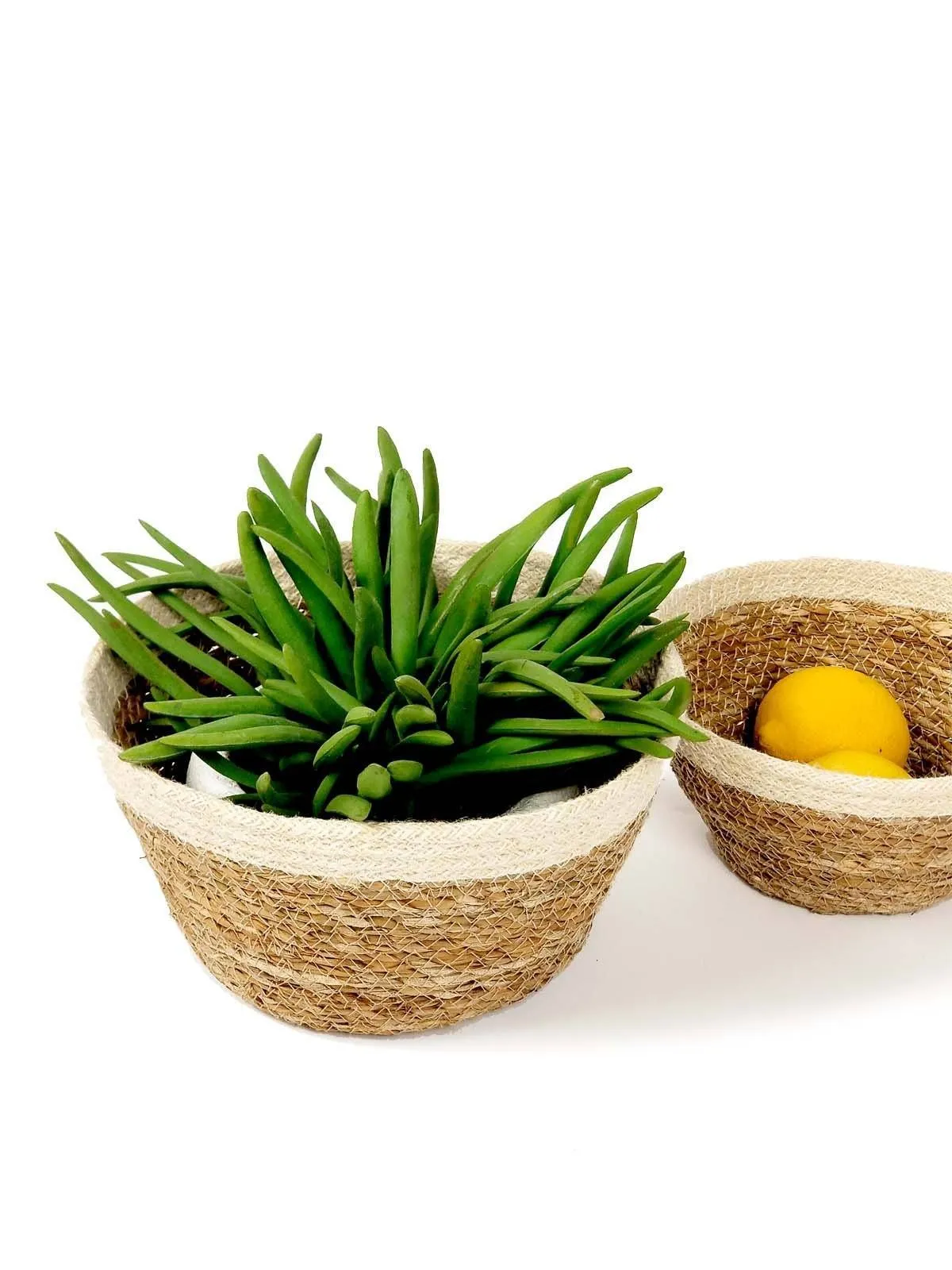 Korissa Savar Handwoven Jute & Seagrass Plant Bowls