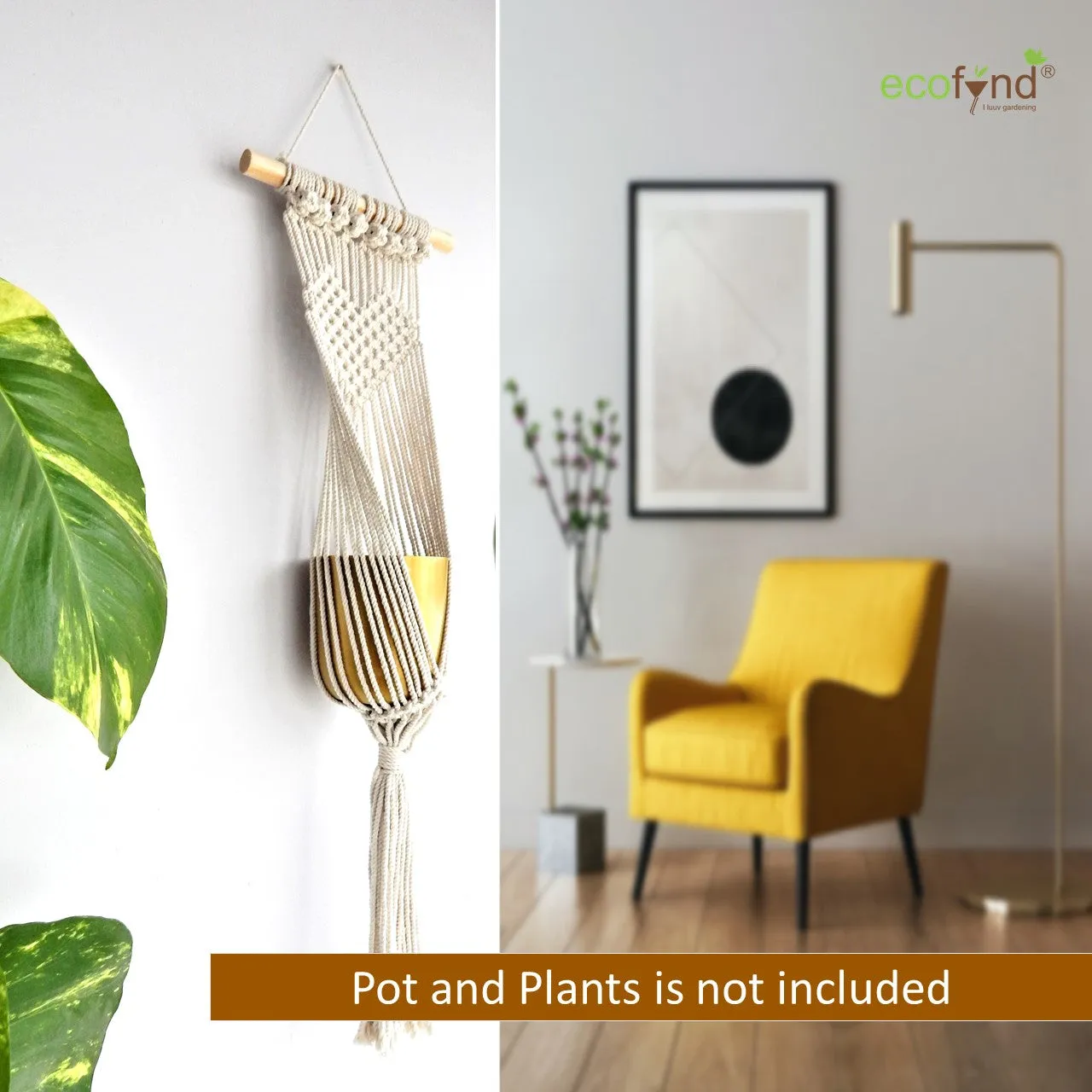 Macrame Plant Hanger