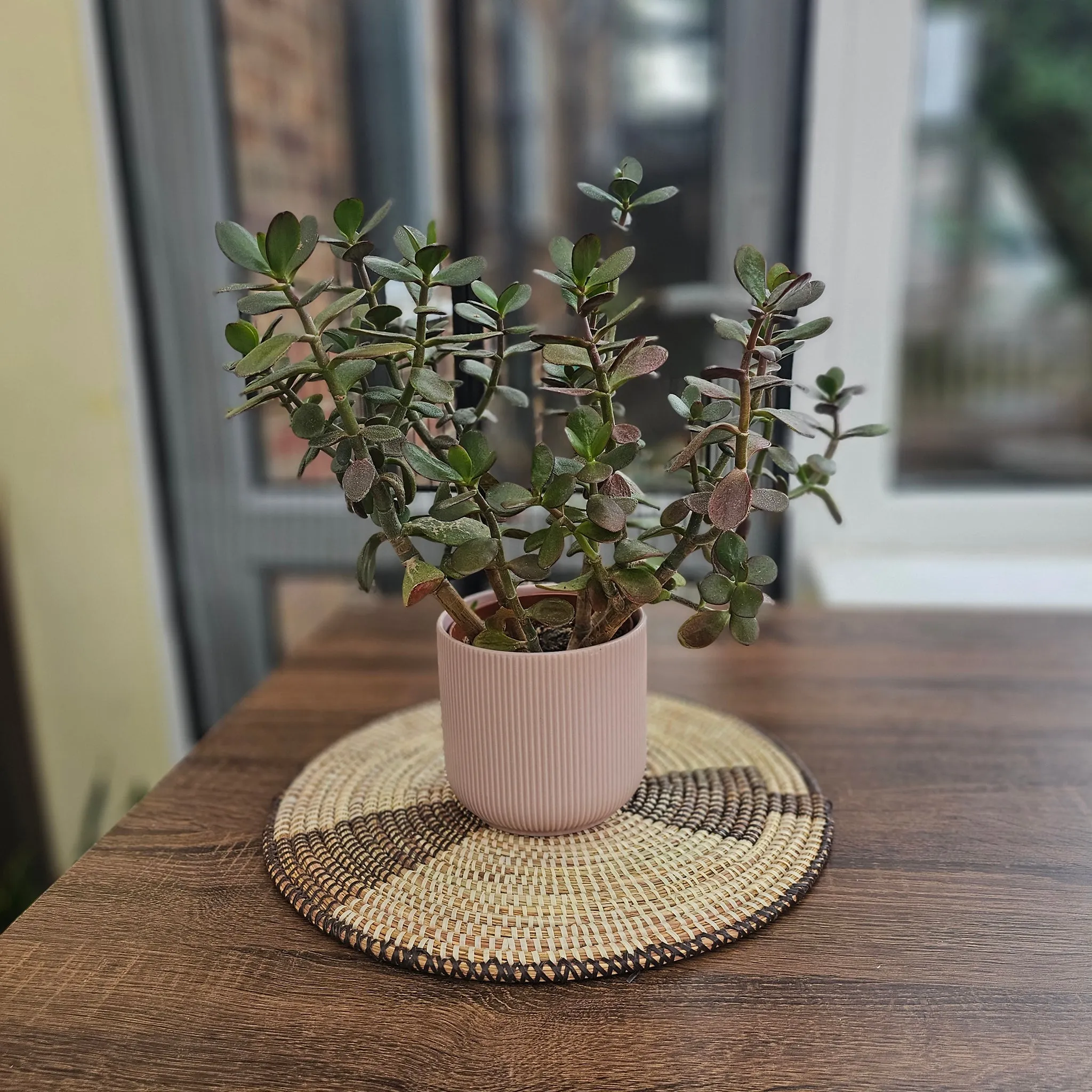 Senegalese Baskets - African Wall Dcor  Aida