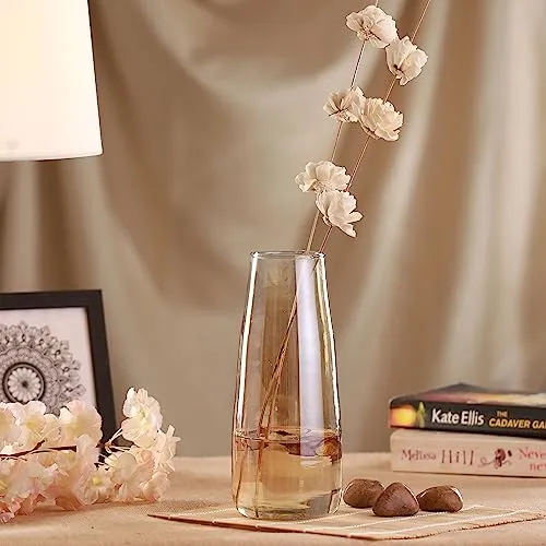 TIED RIBBONS Decorative Glass Vase for Flower Plants Home Decor Office Living Room Bedroom Table Top Decorations Items (Gold, 22.8 cm x 6.3 cm x 7.6 cm)
