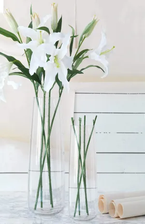 TIED RIBBONS Glass Vase For Flowers And Plants Living Room Home Décor Table Centerpiece Wall Shelf Home Decoration (29 Cm, 165 Cm, Set of 2 Without Flowers, Clear).