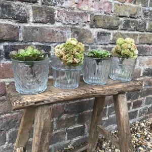 Vintage Style Glass Flower Pots - Four Assorted Designs - Two Sizes